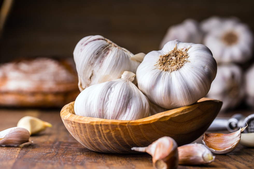 knoblauch, eine vielseitige heilpflanze