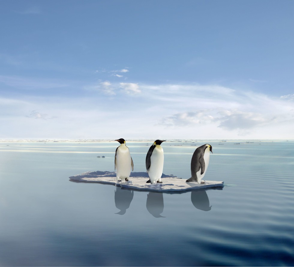 was bringt die globale erwärmung mit sich?
