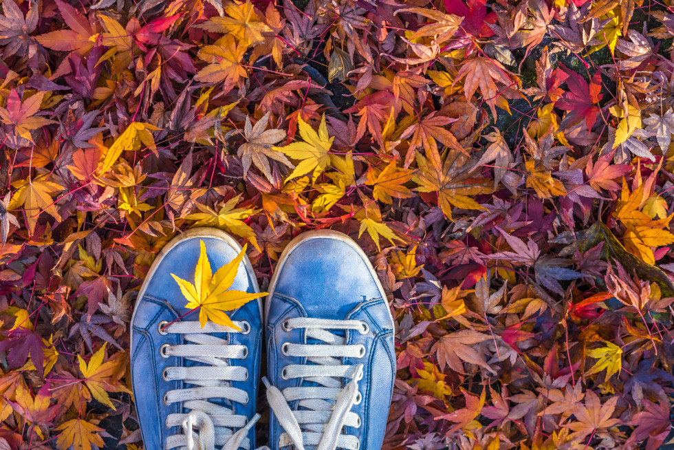 tolle programme im herbst