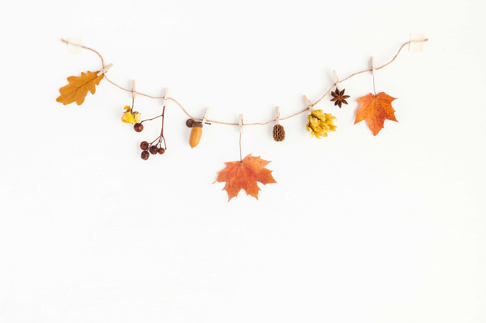 magst du die herbstliche natur? nimm sie nach hause mit!
