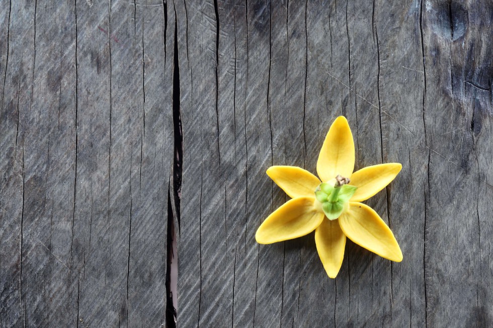 ylang-ylang