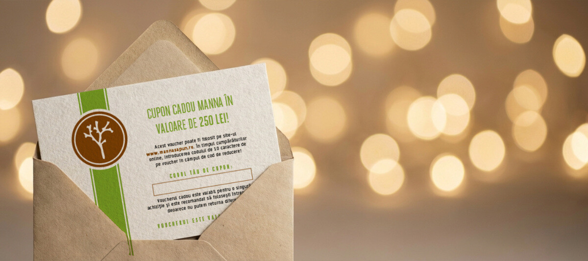 Salvarea de Crăciun Card-cadou în câteva minute